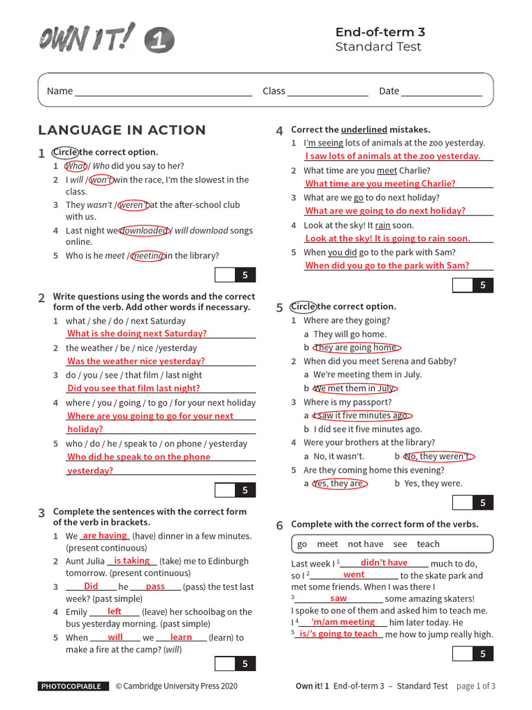 End-of-Term 3 Standard Test Guide | PDF