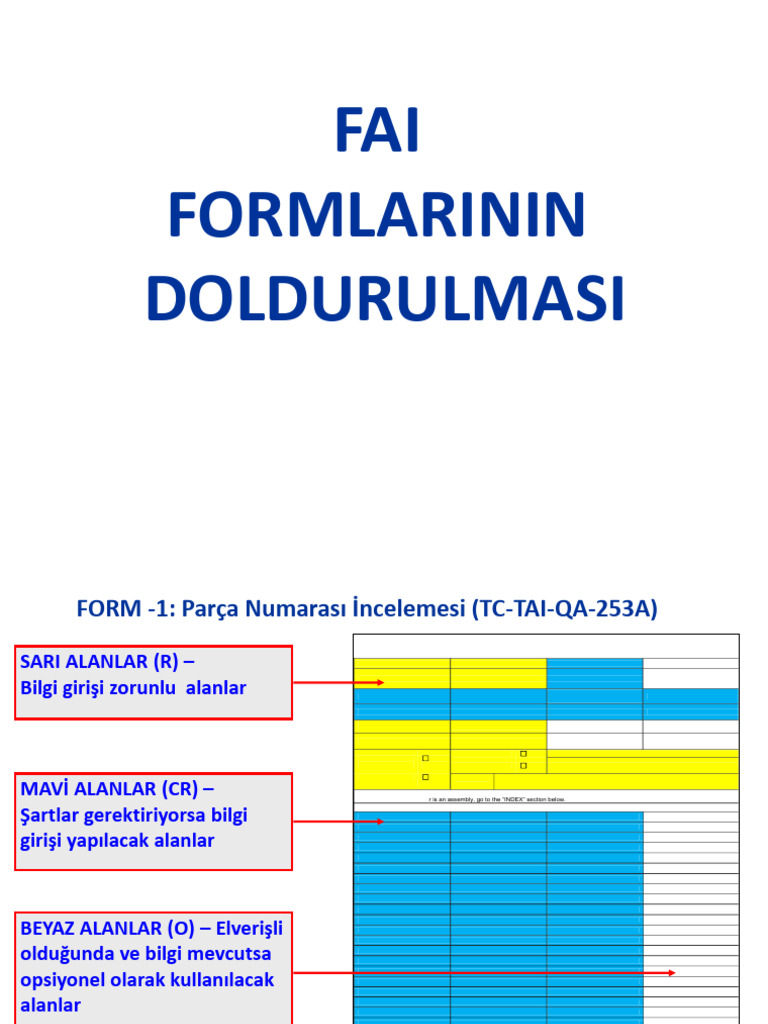 FAI Formlarinin Doldurulmasi | PDF