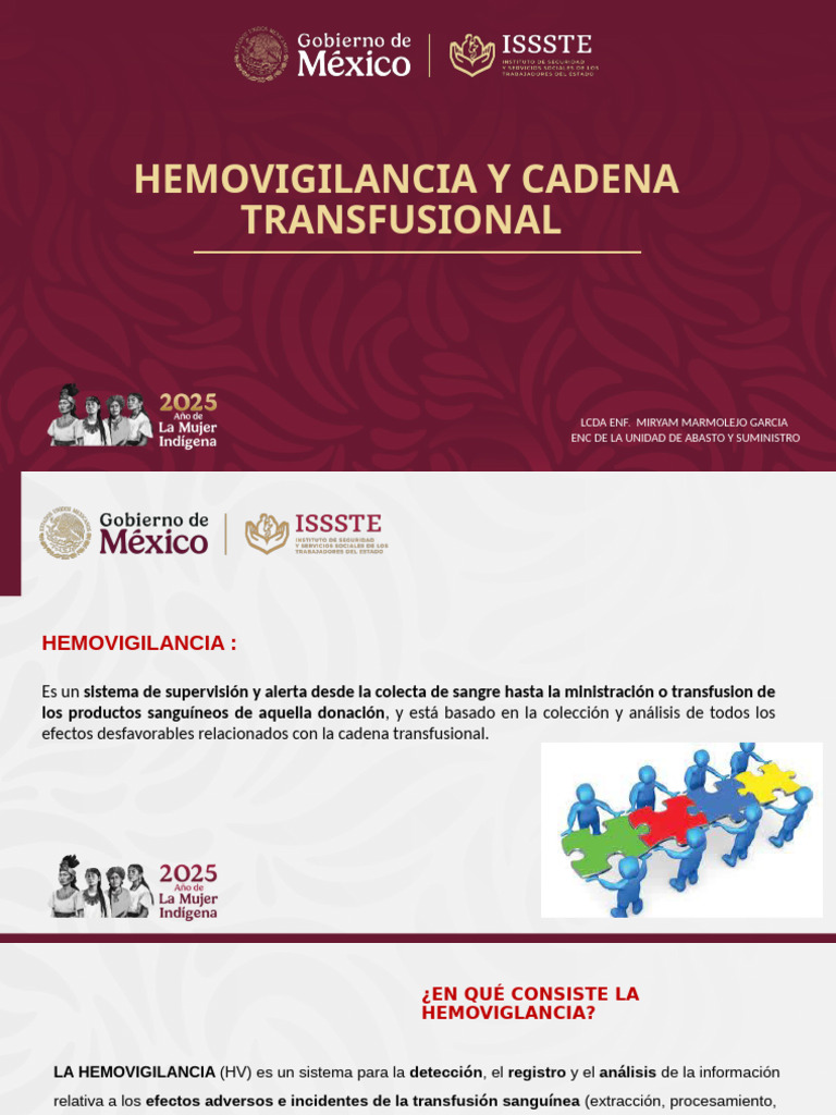 Hemovigilancia en la Cadena Transfusional | PDF | Transfusión de sangre ...