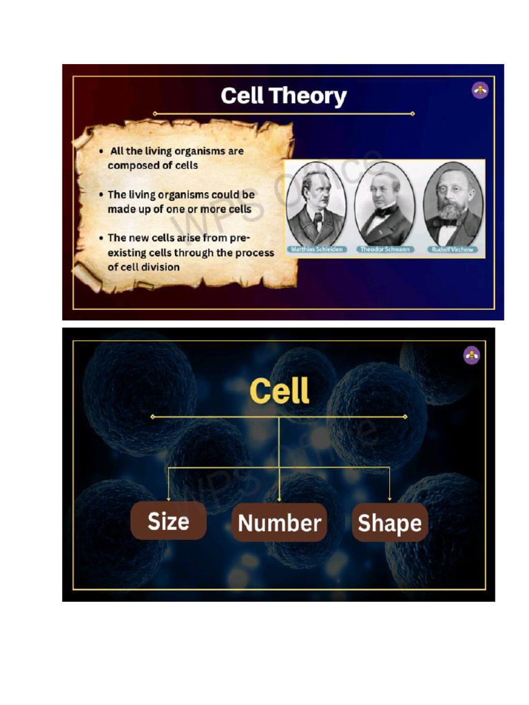 CELL2 | PDF