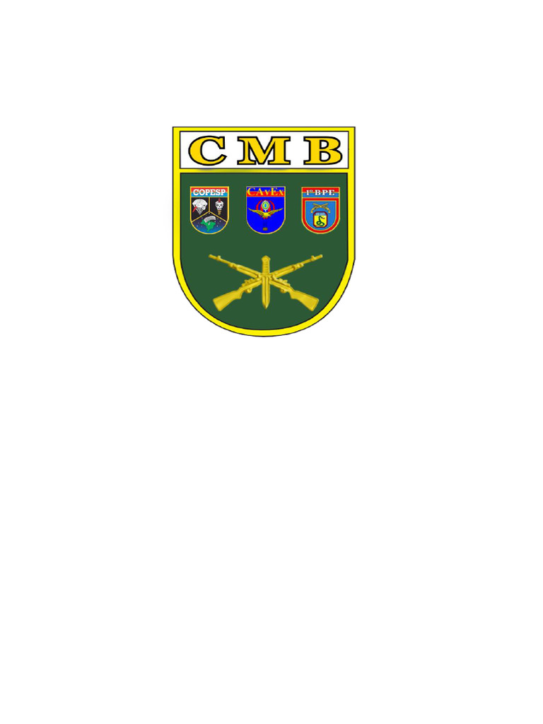 Plano de Carreira do Comando Militar Brasileiro | PDF | Comandos ...
