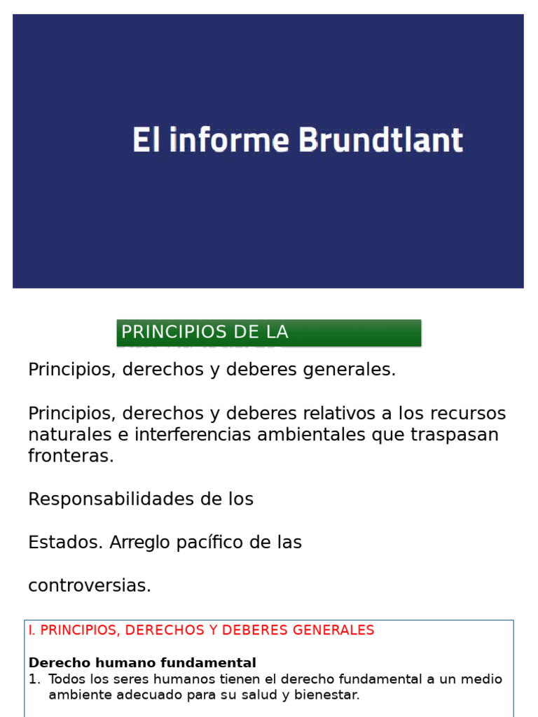 Principios de La Sustentabilidad | PDF | Sustentabilidad | Entorno natural