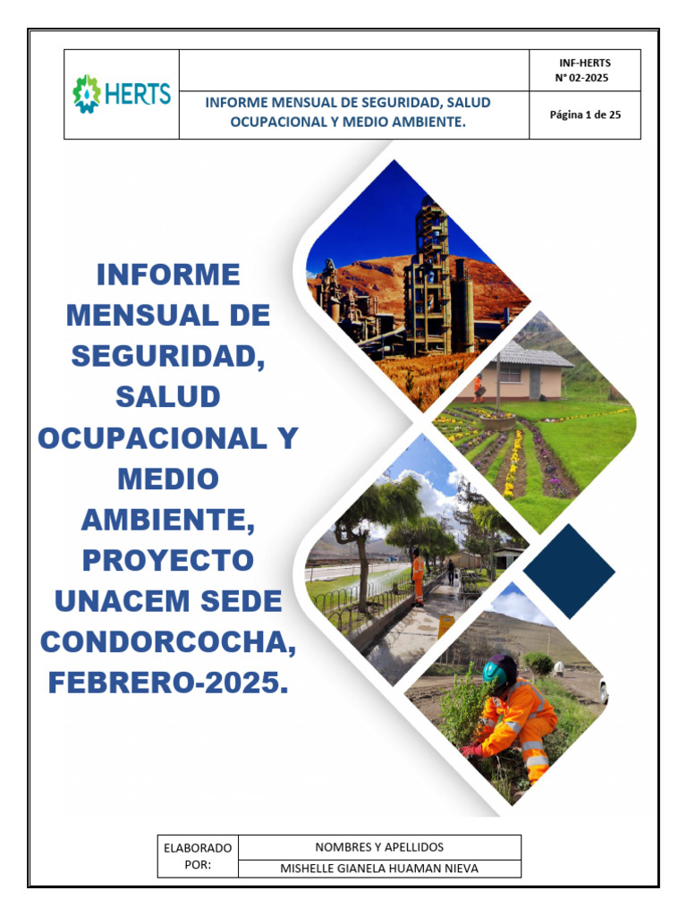 Informe Mensual SSOMA - Febrero 2025 | PDF | Seguridad y salud ...