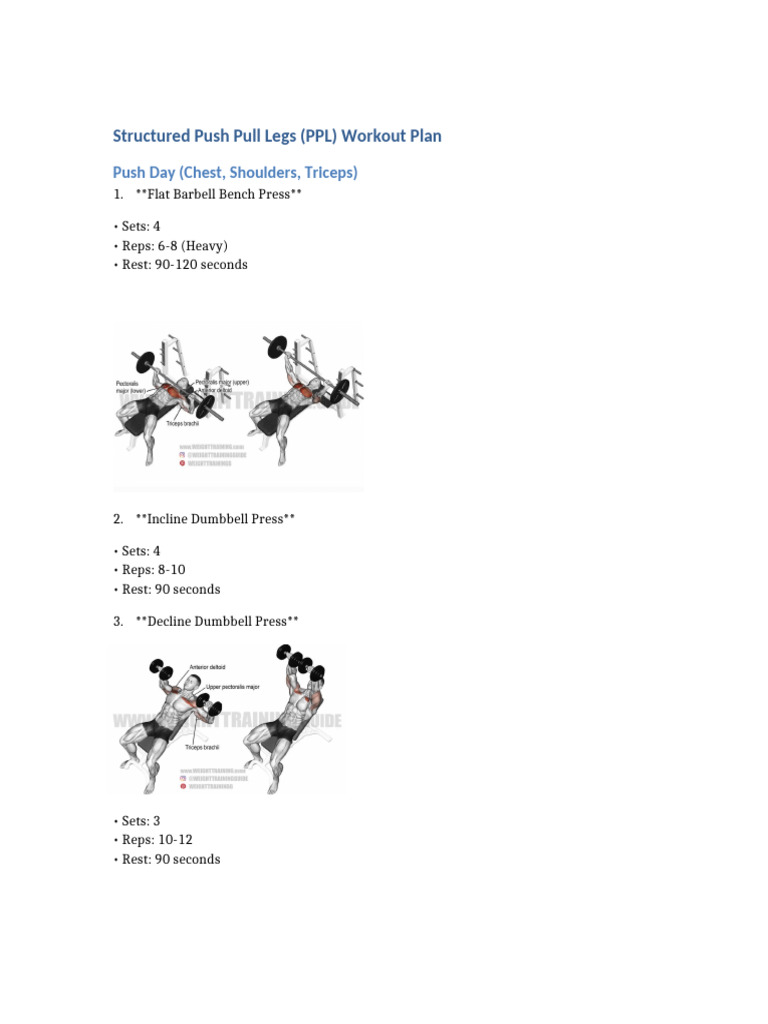 Push Pull Legs Workout Routine Pdf: Ultimate Guide for Fast Gains