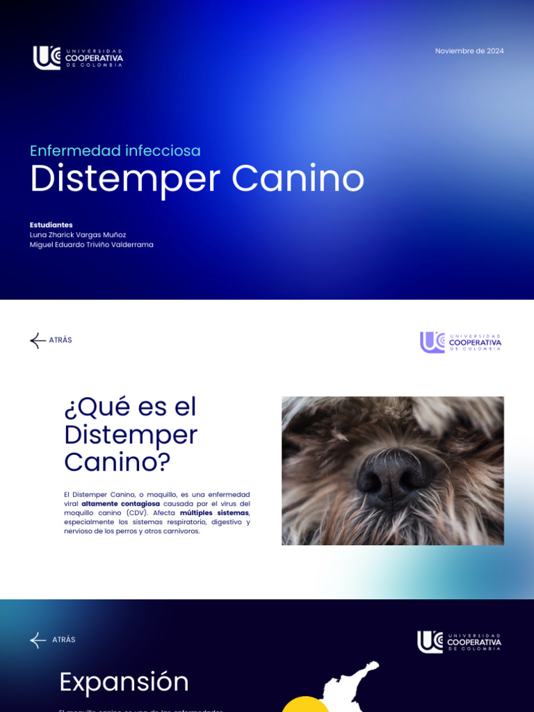 Guía sobre el Distemper Canino | PDF | Virus | Inmunología