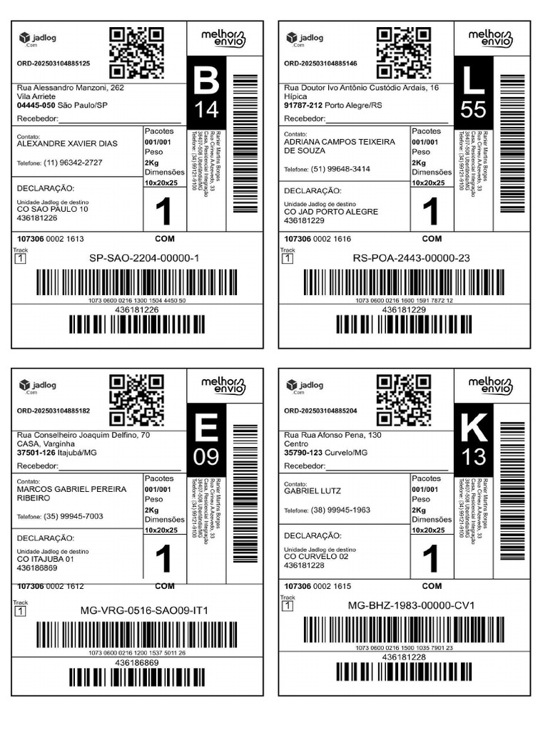 Ranier 1203 Inj | PDF