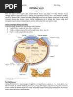 Download LTM Histologi Mata JF by Jody Felizio SN83899732 doc pdf