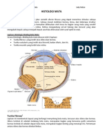 LTM Histologi Mata JF