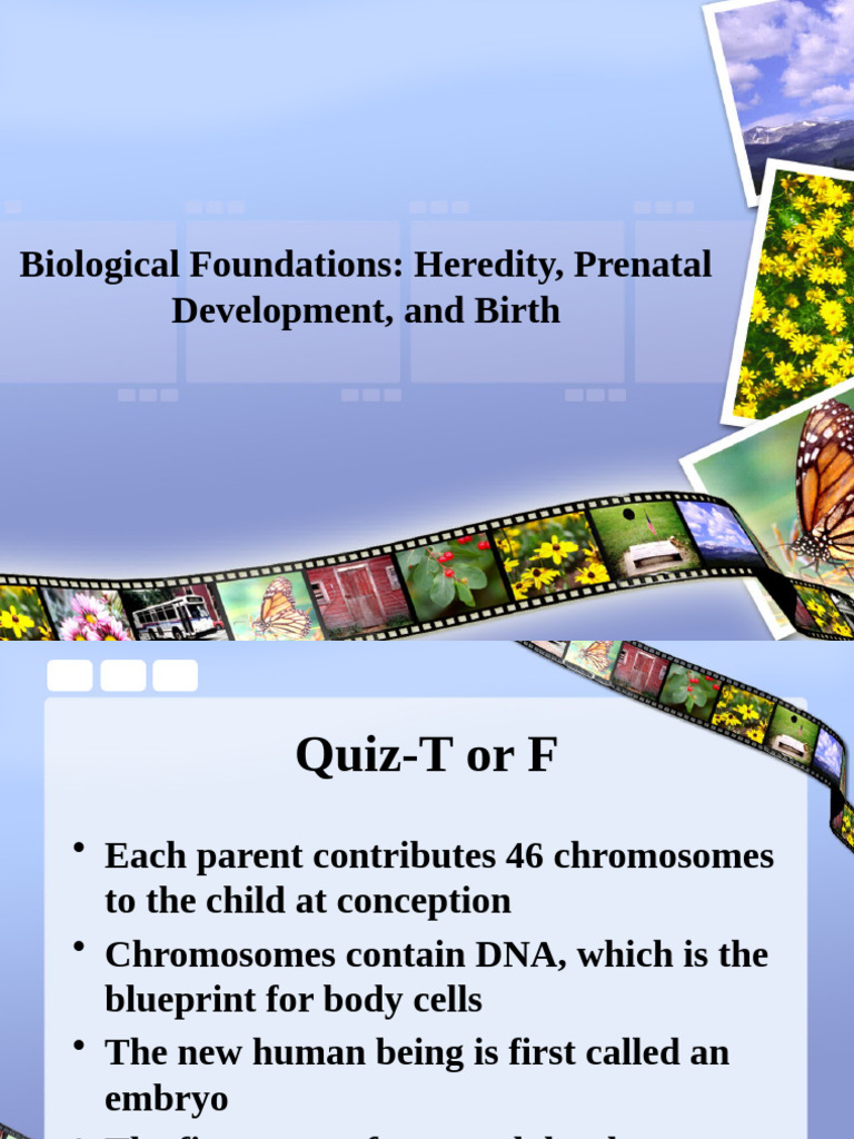 Heredity and Prenatal Development Overview | PDF | Childbirth | Heredity