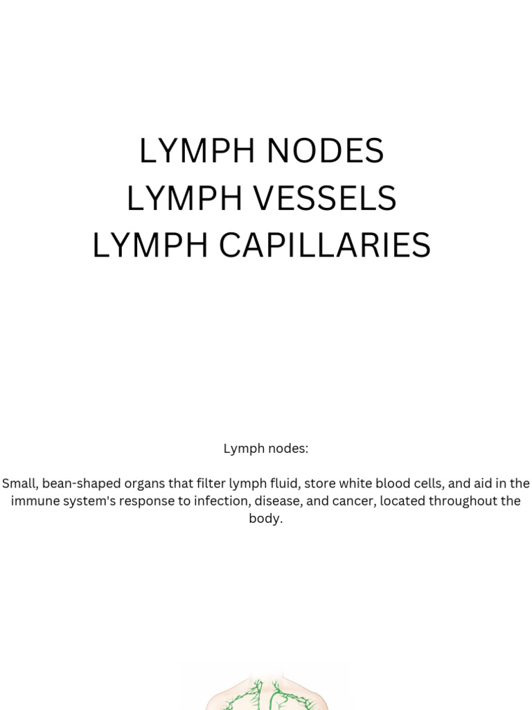 Lymph Nodes Lymph Vessels Lymph Capillaries - 20241019 - 210554 - 0000 ...