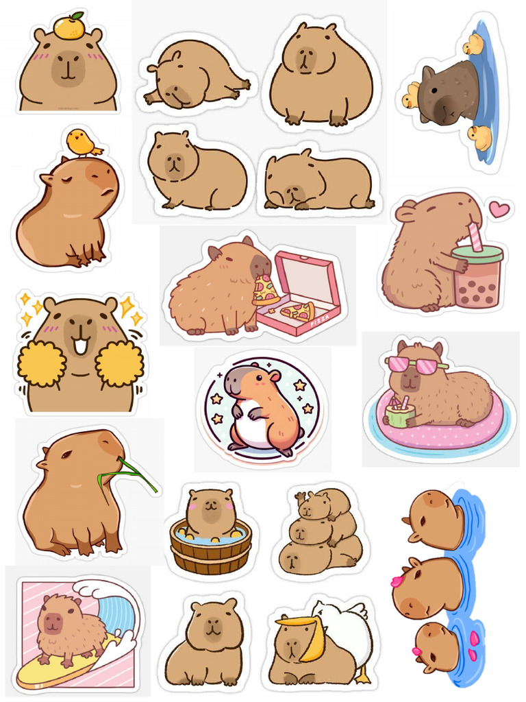 Sticker | PDF