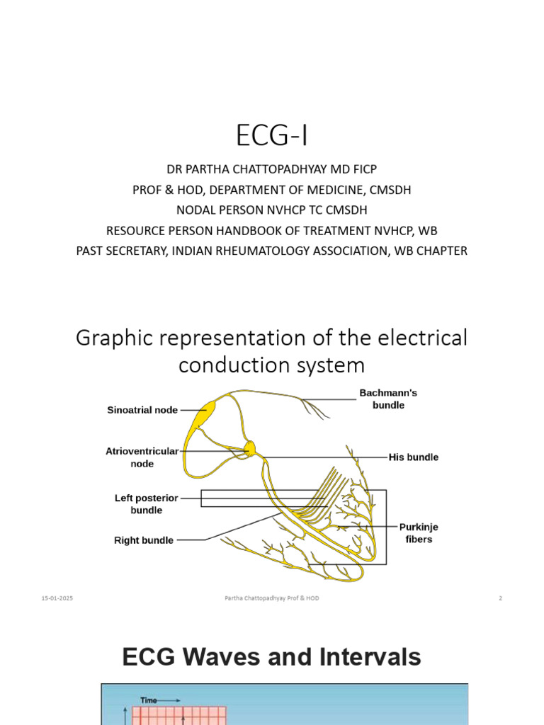 ECG Interpretation and Analysis Guide | PDF | Electrocardiography | Heart