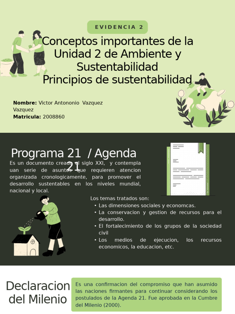 VAVV - Principios de Desarrollo Sostenible | PDF | Entorno natural ...