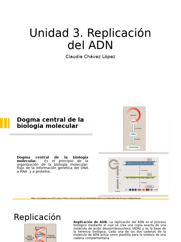 Replicación del ADN: Proceso y Enzimas | PDF | Replicación De Adn | Adn