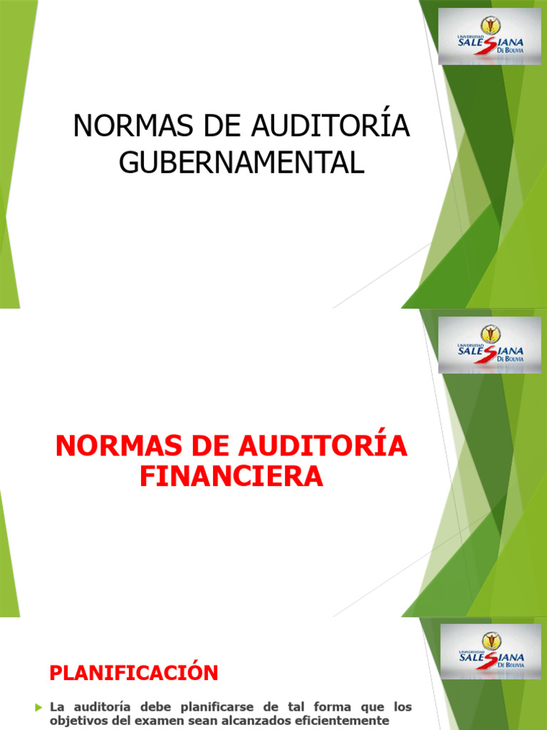 Diapositivas Normas de Auditoría Gubernamental | PDF | Auditoría ...