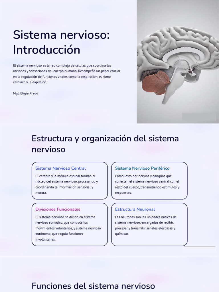 Sistema Nervioso Introduccion - PDF Clase | PDF | Sistema nervioso ...