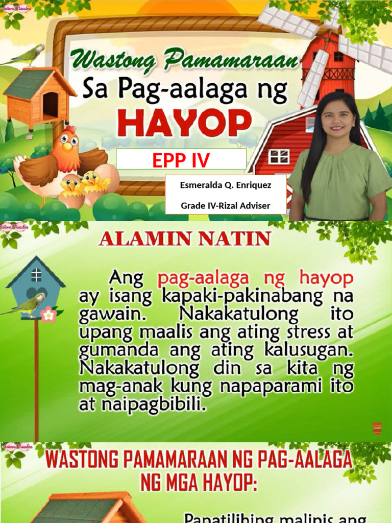 EPP 4 QUARTER 1 Wastong Pamamaraan Sa Pangangalaga NG Hayop | PDF