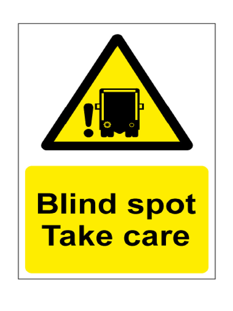 Blind Spot Pdf