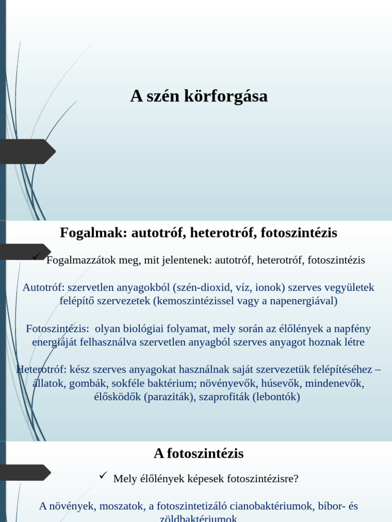 A Szén Körforgása 9C 20250121 Jav | PDF