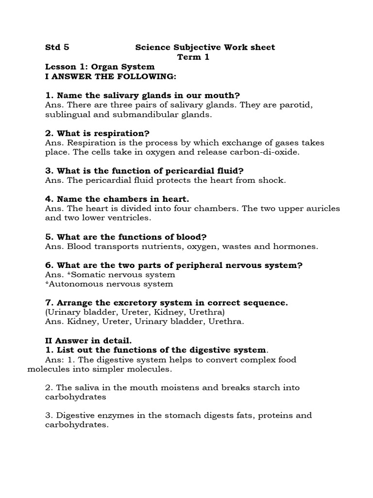 Std 5 Science Worksheet: Organ Systems & Matter | PDF | Heart | Blood