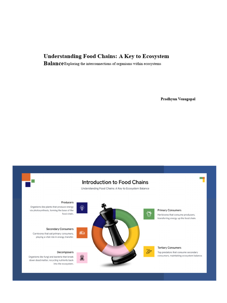 Food Chain Ppt Pradhyun 2 Pptx 1 Pdf