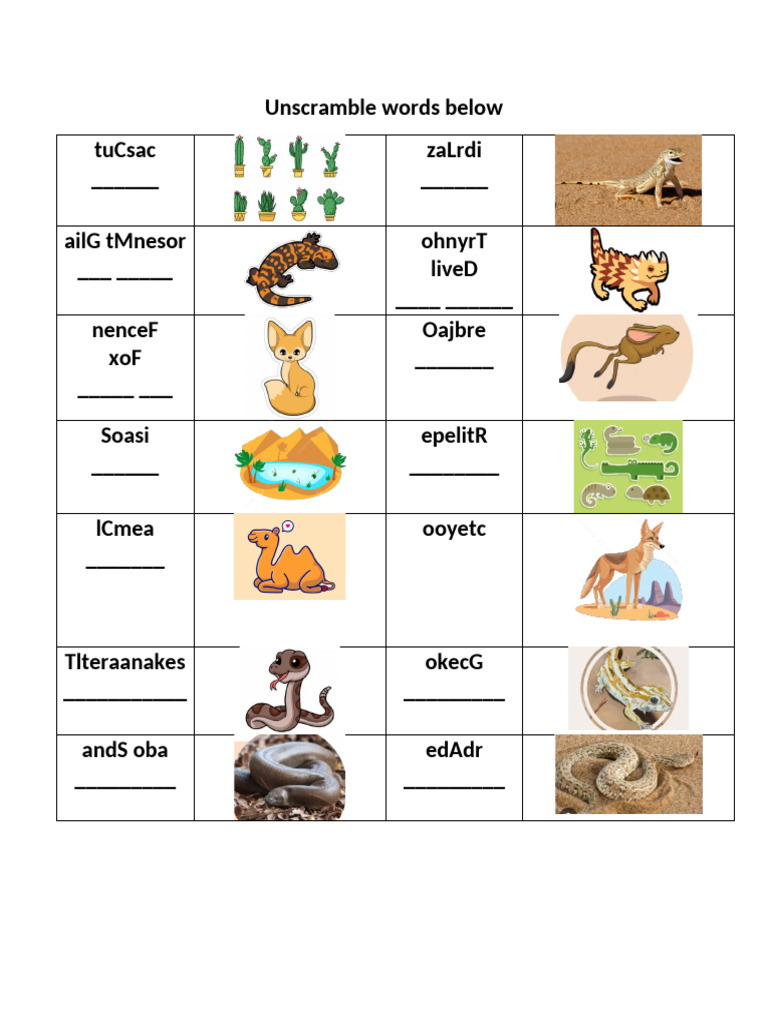 Unit 3 Revision | PDF
