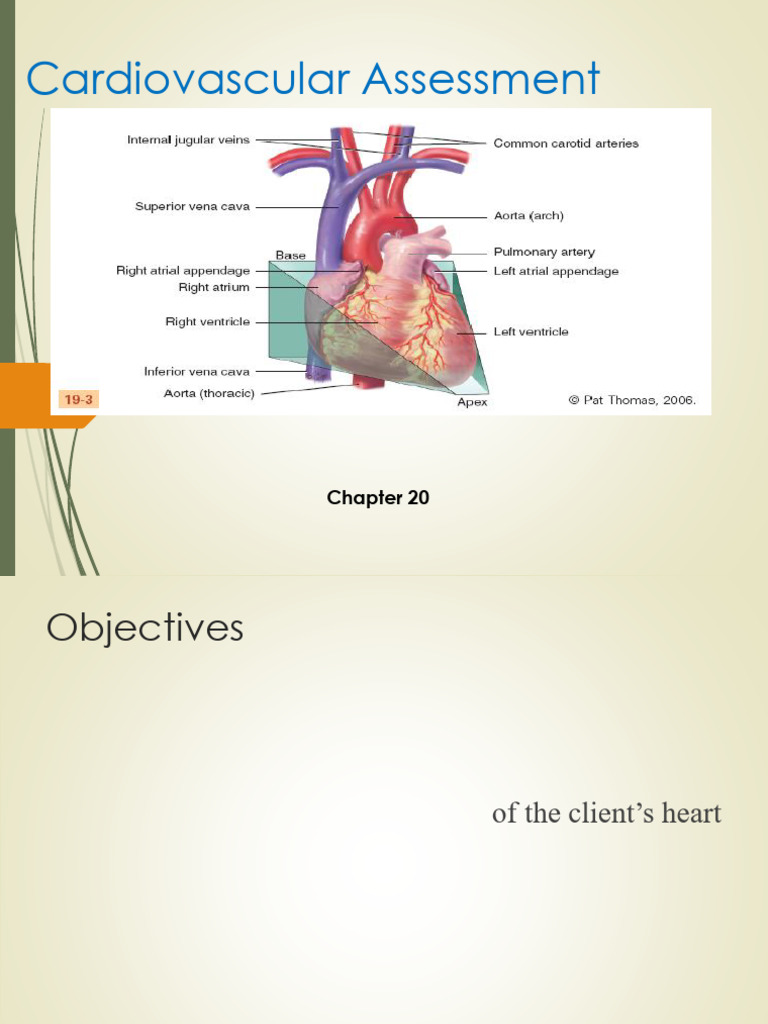 Cardiovascular Assessment Techniques | PDF | Heart Valve | Ventricle ...