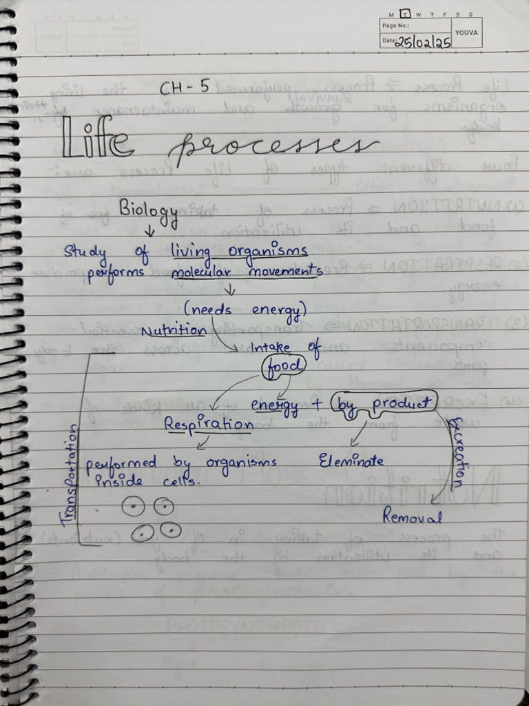 Life Process Notes | PDF