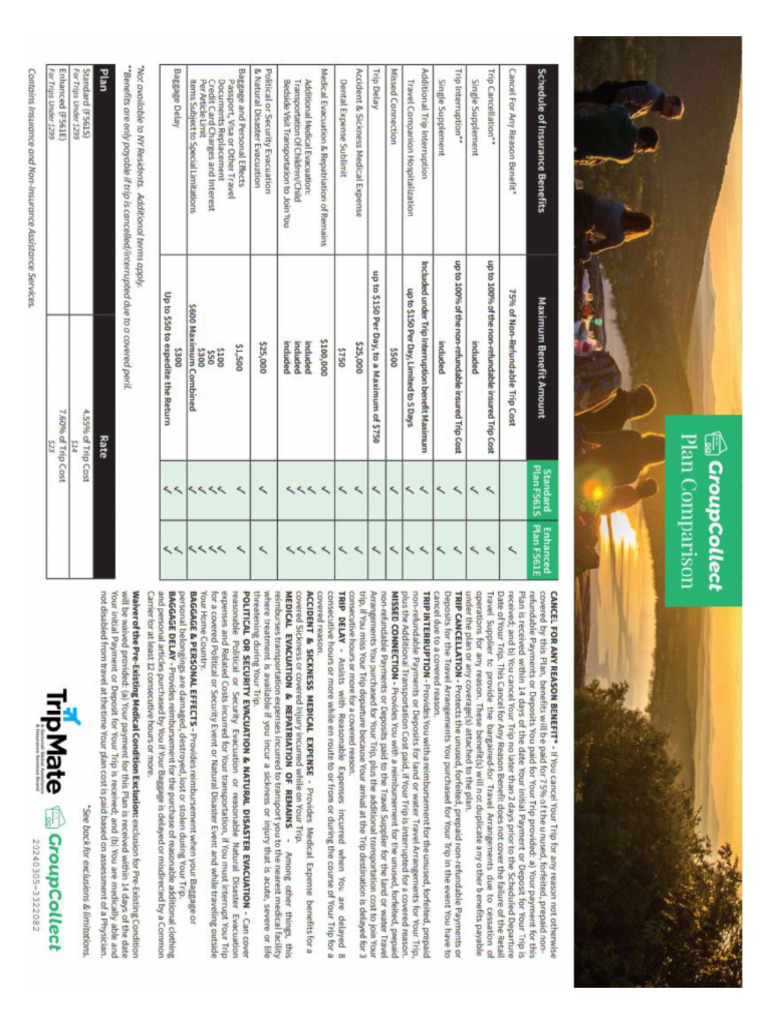 TripMate Insurance Flyer | PDF