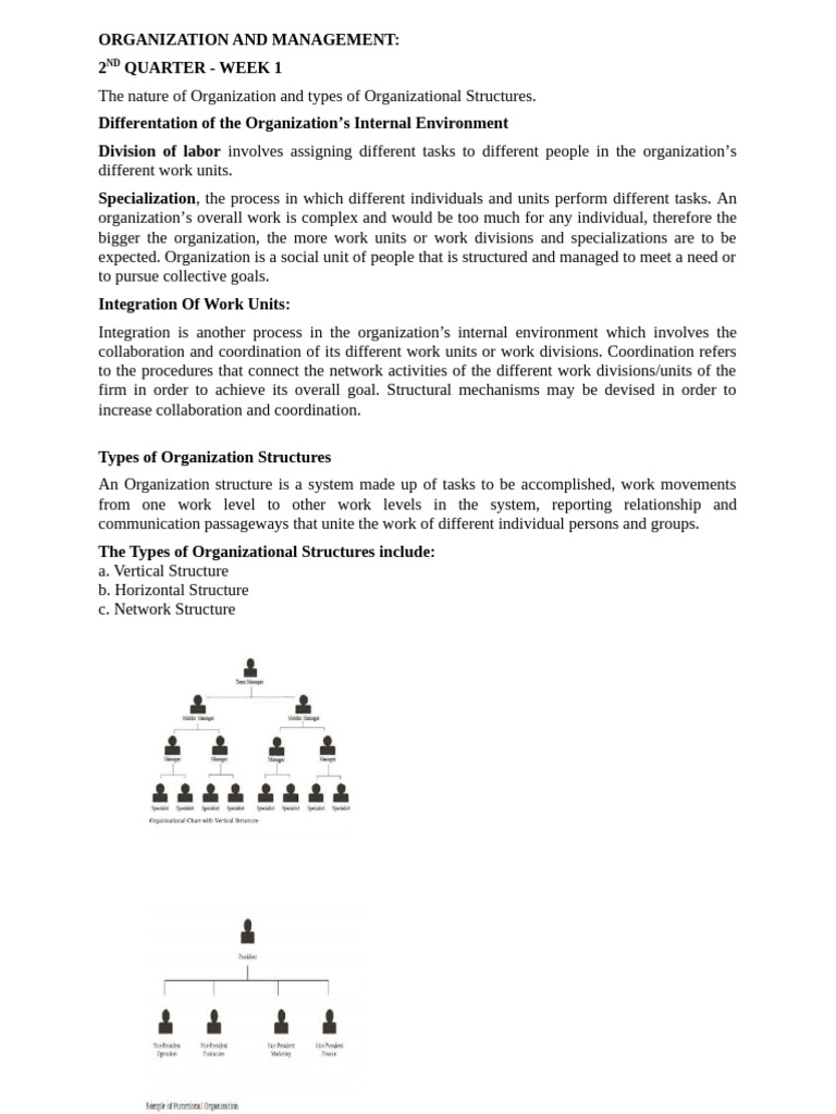 Understanding Organizational Structures | PDF | Organizational ...