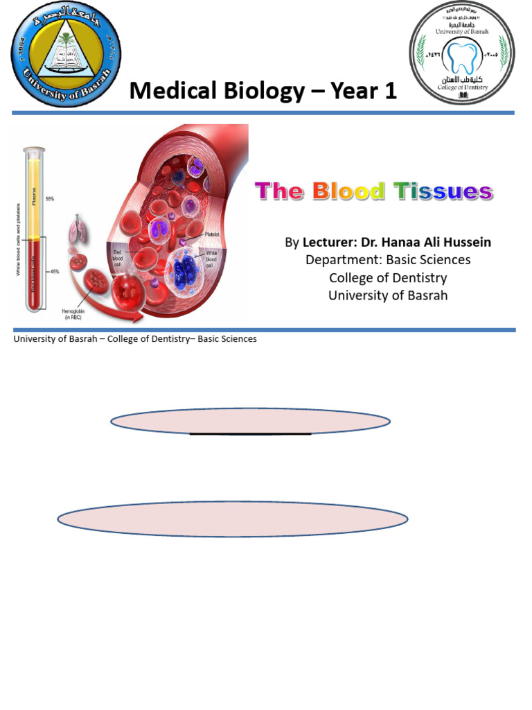 Blood Tissue Functions and Components | PDF | Red Blood Cell | Blood