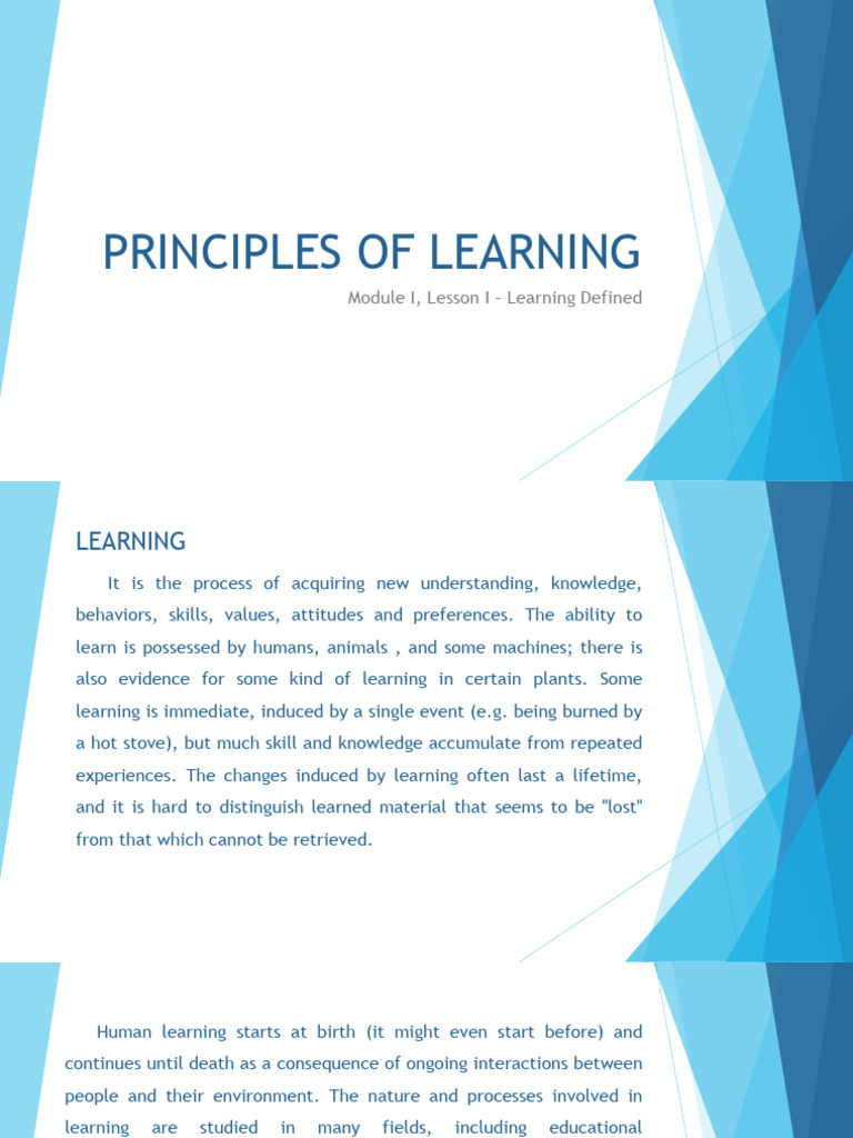 Understanding the Learning Process | PDF