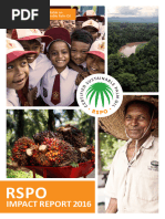 2024 RSPO Principles & Criteria Overview | PDF