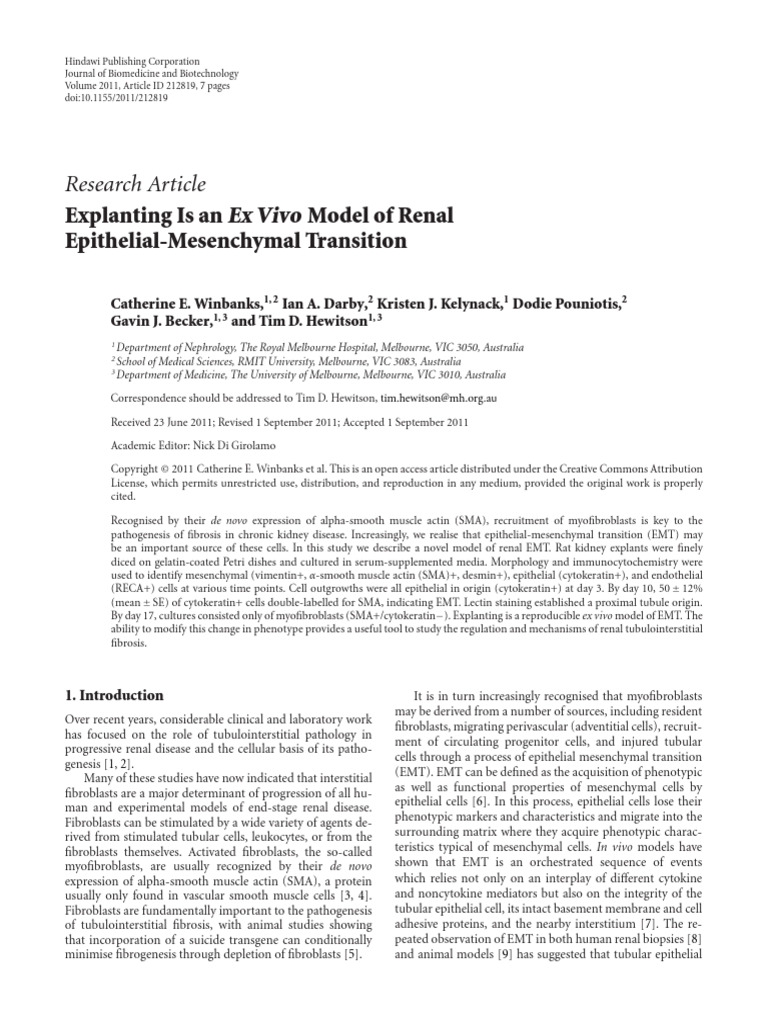 Explanting Is An Ex Vivo Model of Renal | PDF | Kidney | Epithelium