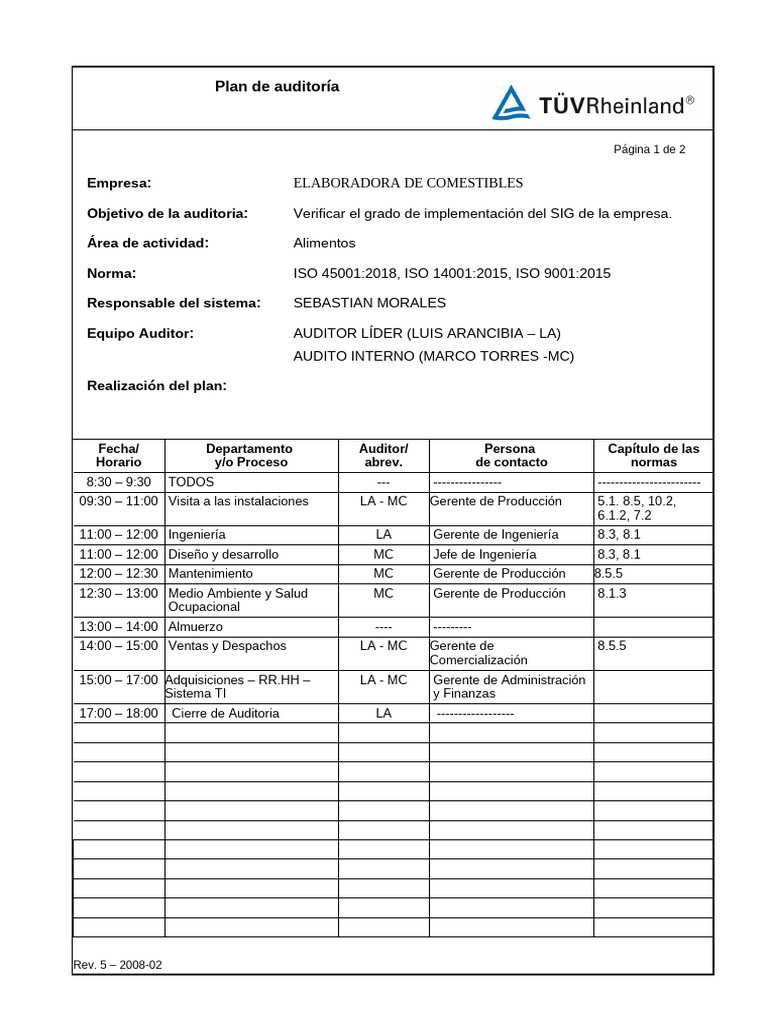 2.7 Formato Plan de Auditoria | PDF | Auditoría | Business