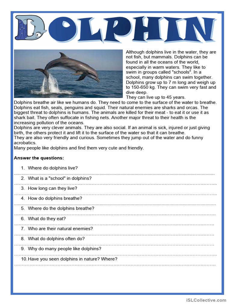 Dolphins: Facts and Conservation Issues | PDF | Dolphin | Zoology