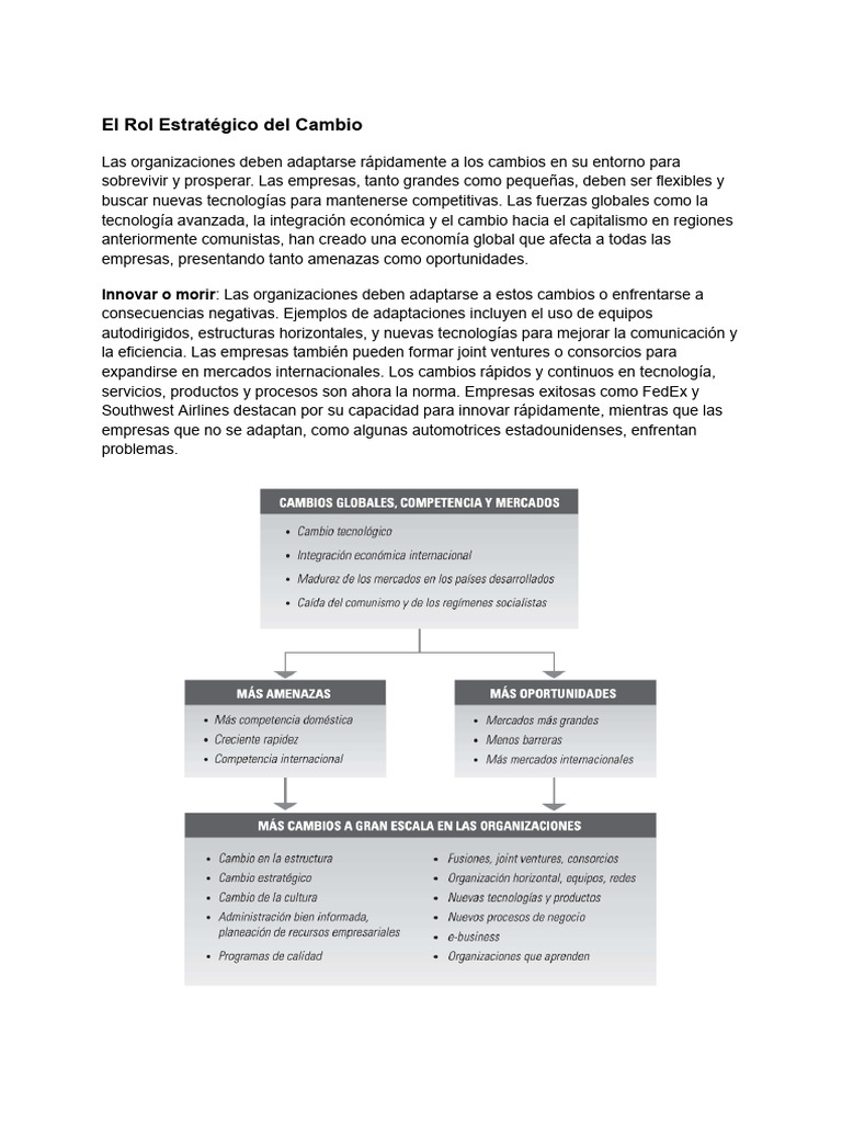 Estrategias para el Cambio Organizacional | PDF | Marketing | Innovación