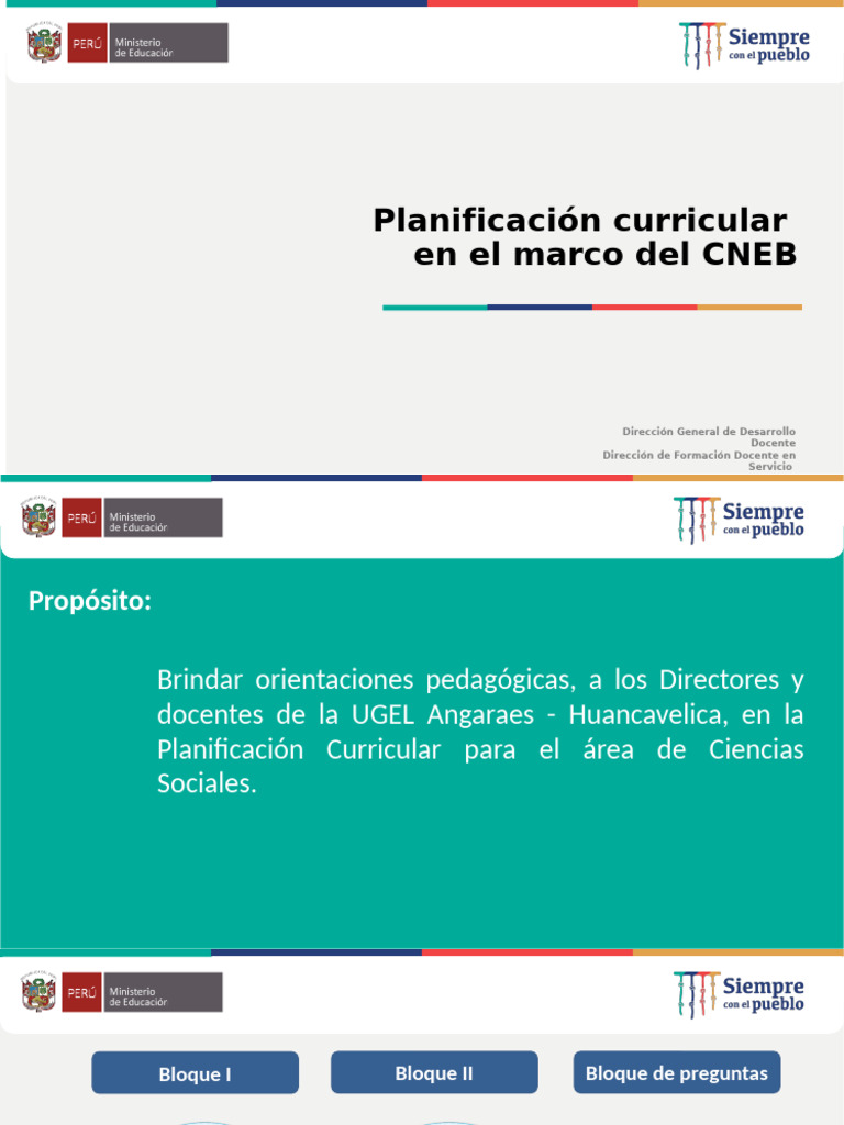 Planificacion Curricular CC - SS. | PDF | Evaluación | Plan de estudios