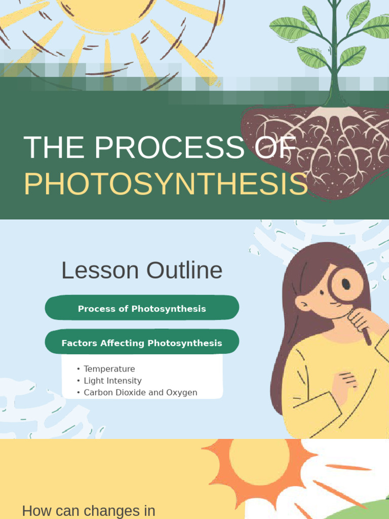 The Process of Photosynthesis Education Presentation in Green Style ...