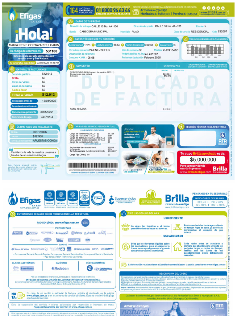 EFIGAS | PDF