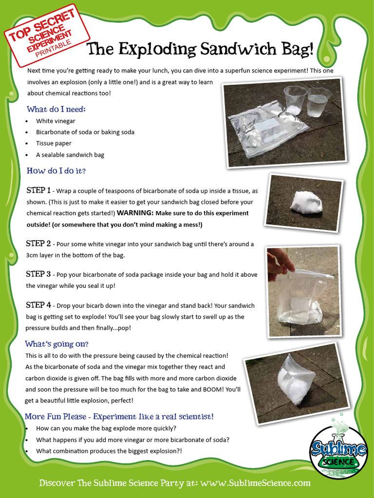 Exploding Sandwich Bag Experiment | PDF