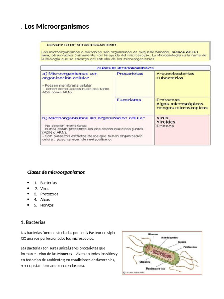 Clases y funciones de microorganismos | PDF | Virus | Microorganismo