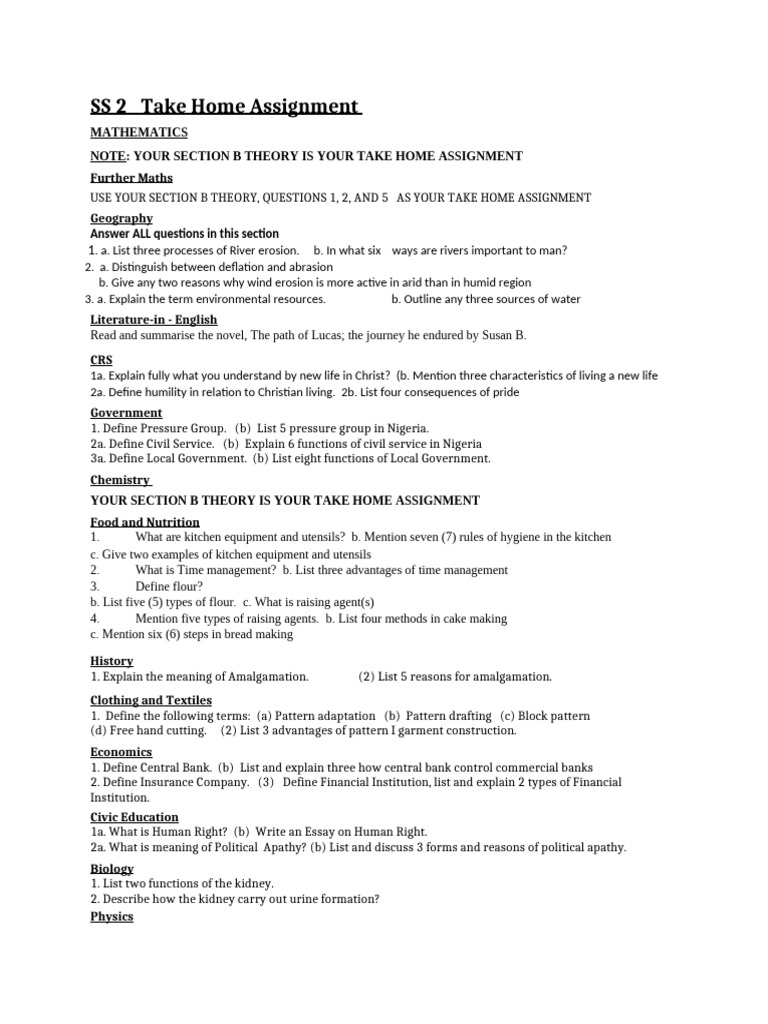 SS2 Take Home Assignment Overview | PDF | Force