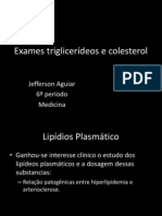 Exames triglicerídeos e colesterolENVIAR