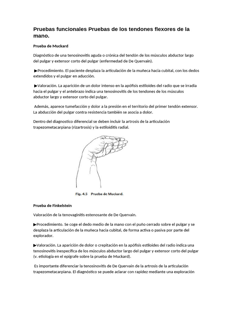 Pruebas Funcionales de Muñeca y Mano | PDF | Mano | Síndrome del túnel ...