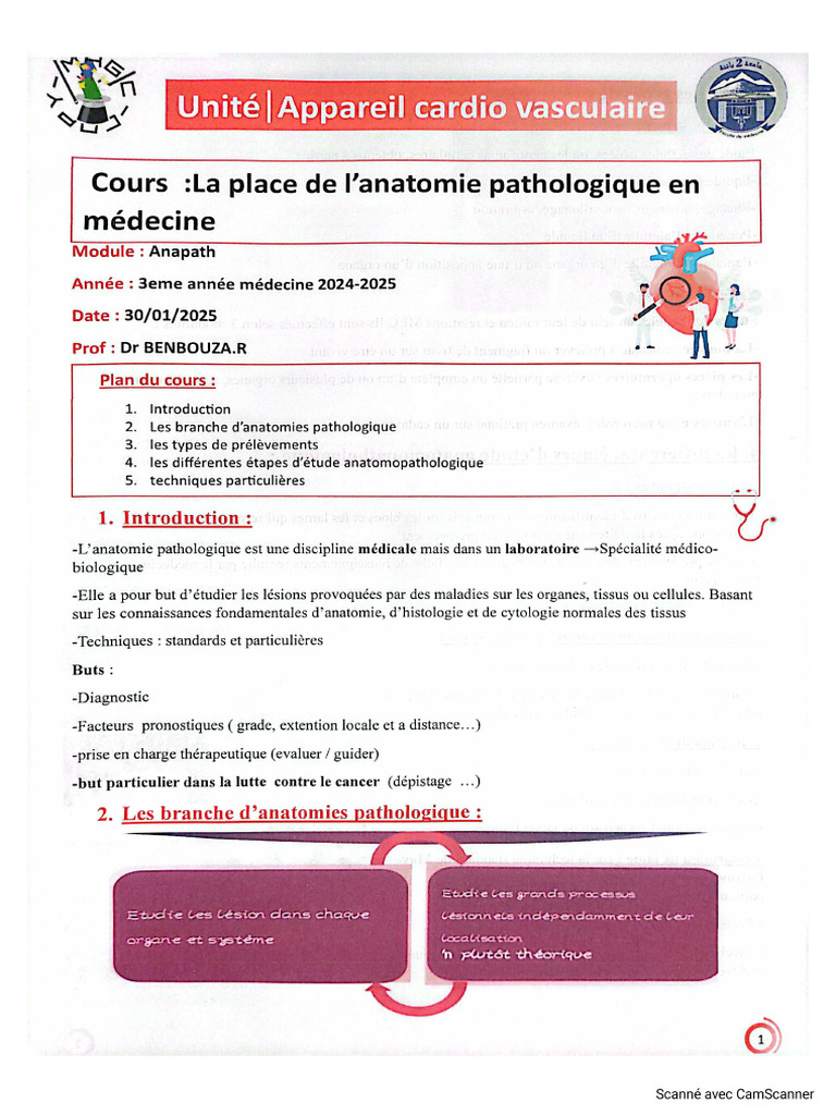 1er Cour | PDF