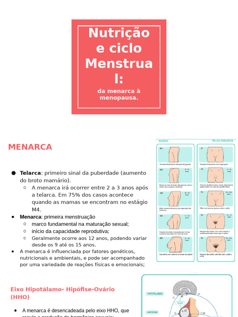 Nutrição e Menstruação: Menarca à Menopausa | PDF | Menstruação ...