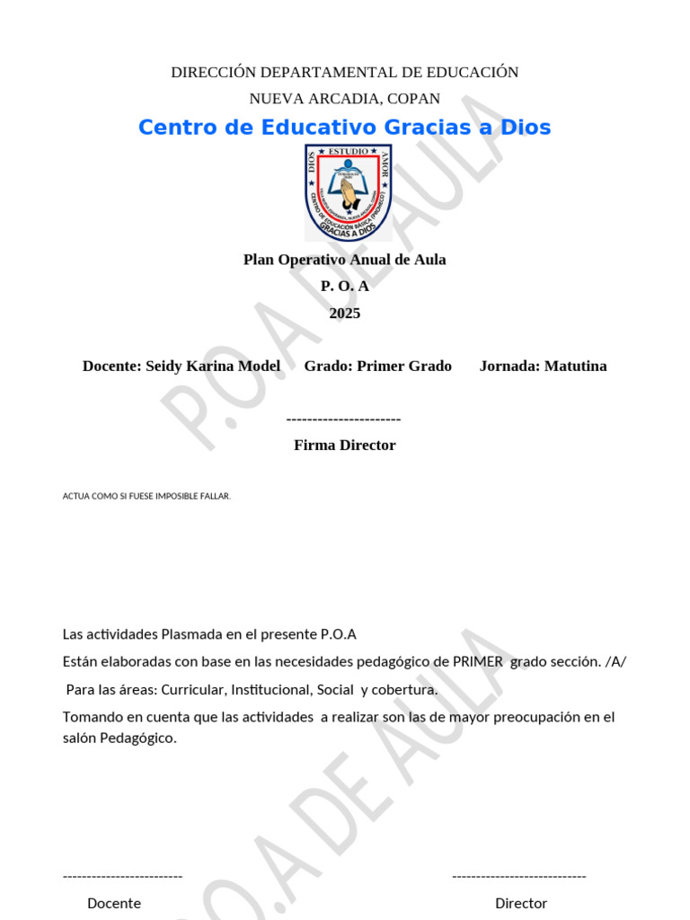 Plan Operativo Anual 2025 Primer Grado | PDF | Aprendizaje