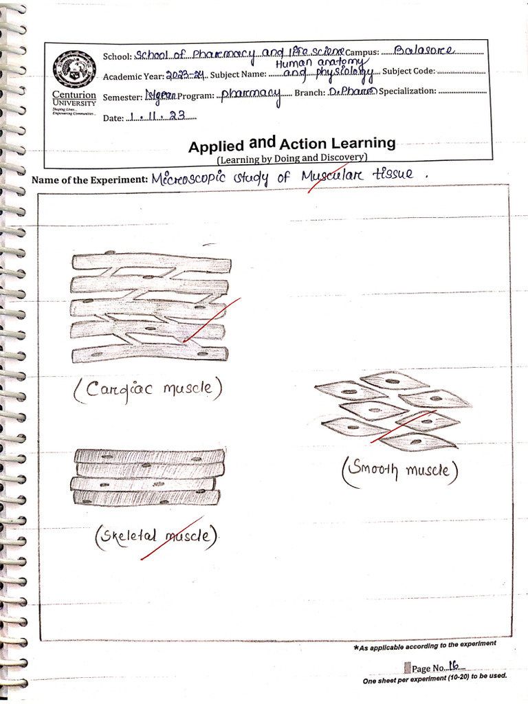 Experiment 4 | PDF