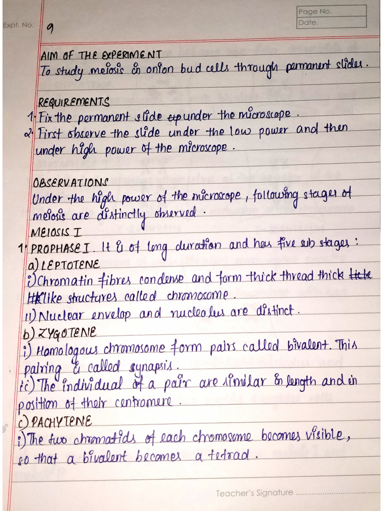 Exp 9 | PDF